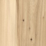 elm