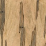 wormy maple
